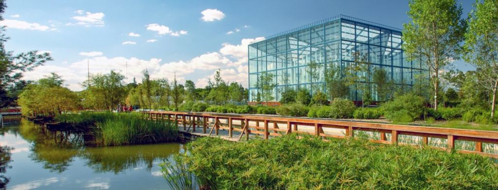 Las 7 rutas más bonitas para salir a correr en CDMX