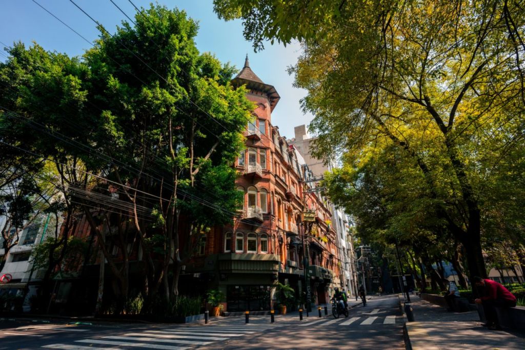 Las colonias con el ‘vibe’ más bohemio de la CDMX (perfectas para explorar)