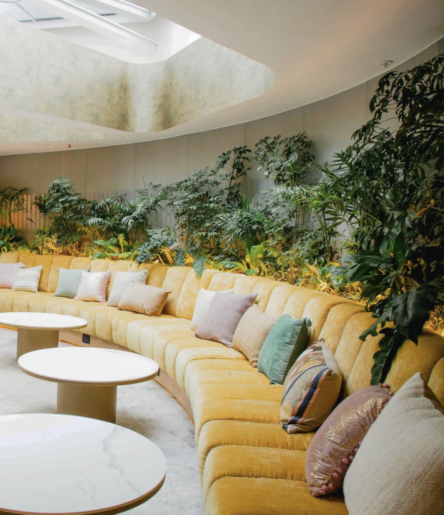 Conoce el primer (y muy ‘aesthetic’) bar de matcha en la CDMX