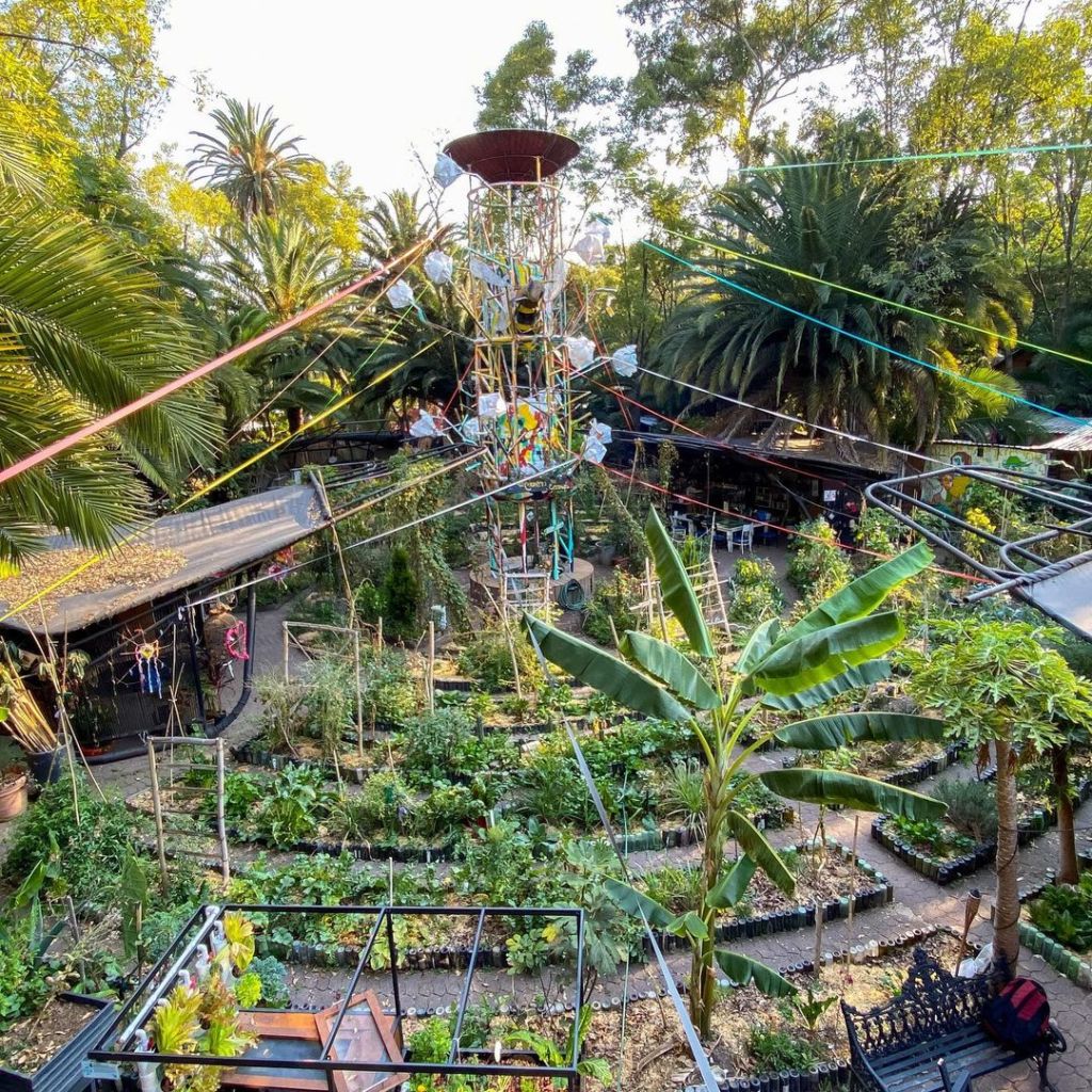 FAMA Fest 2023: el festival de arte y medio ambiente en CDMX