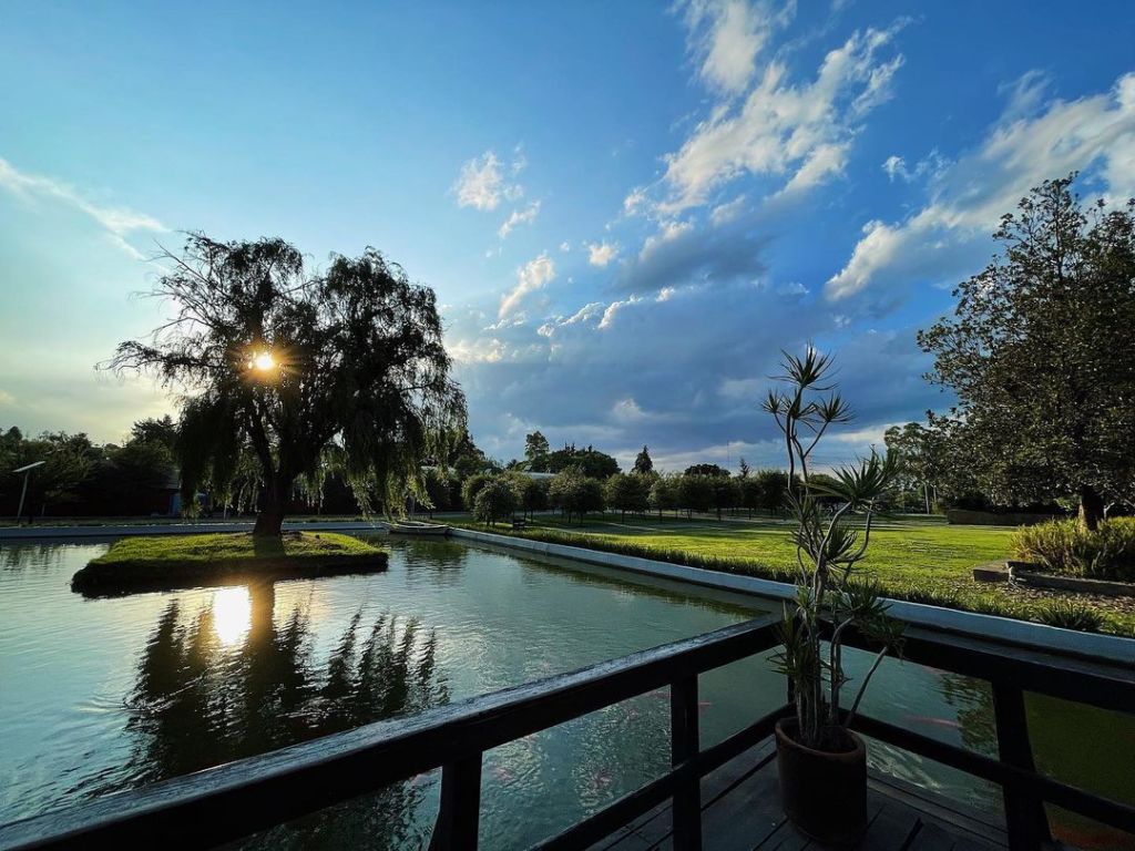 Los 7 parques más bonitos de la CDMX para un picnic digno de Instagram