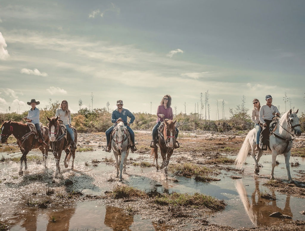 ¿Conoces el turismo ecuestre? Te decimos dónde practicarlo