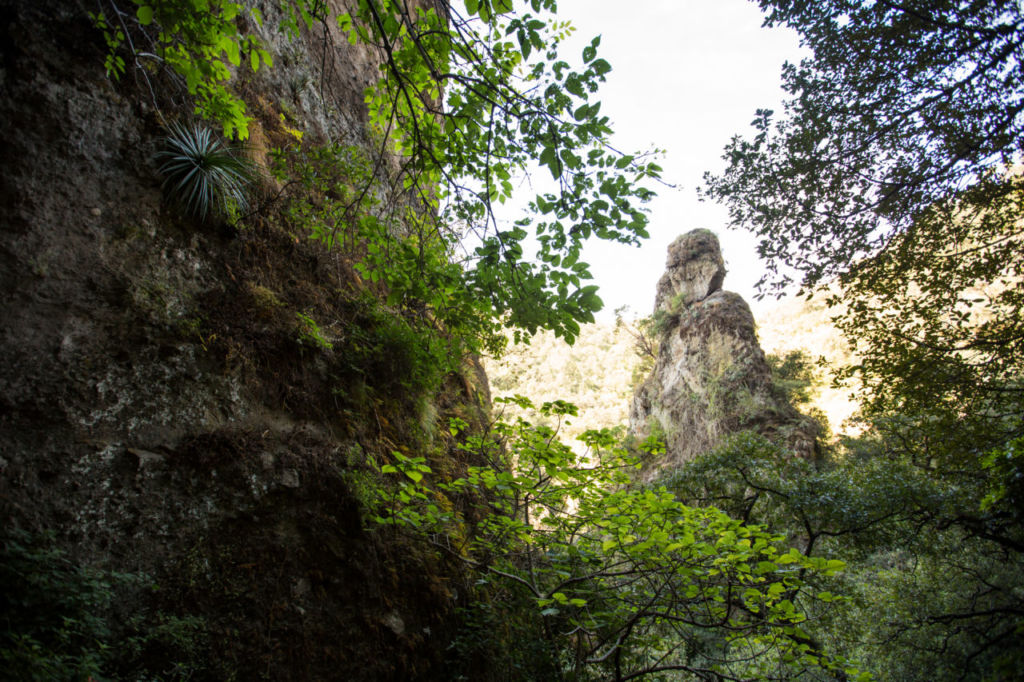 Cascada San Jerónimo: el tesoro natural oculto entre dos cañones en Tepoztlán