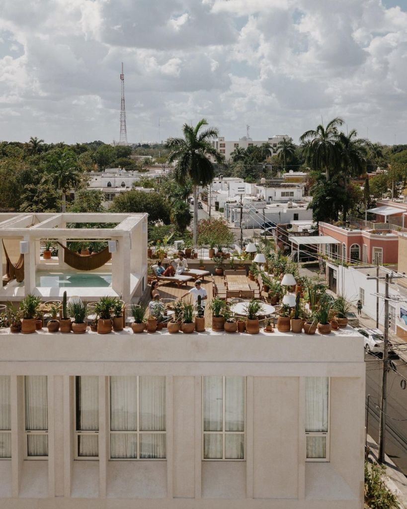 Conoce el nuevo rooftop de Mérida con cocina peninsular contemporánea 