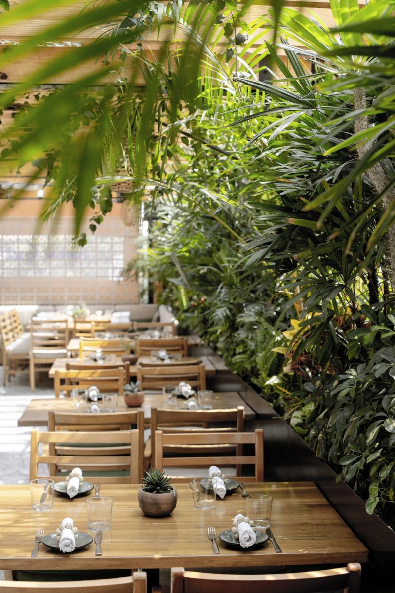 9 terrazas en la CDMX con vistas espectaculares en donde sí comerás delicioso