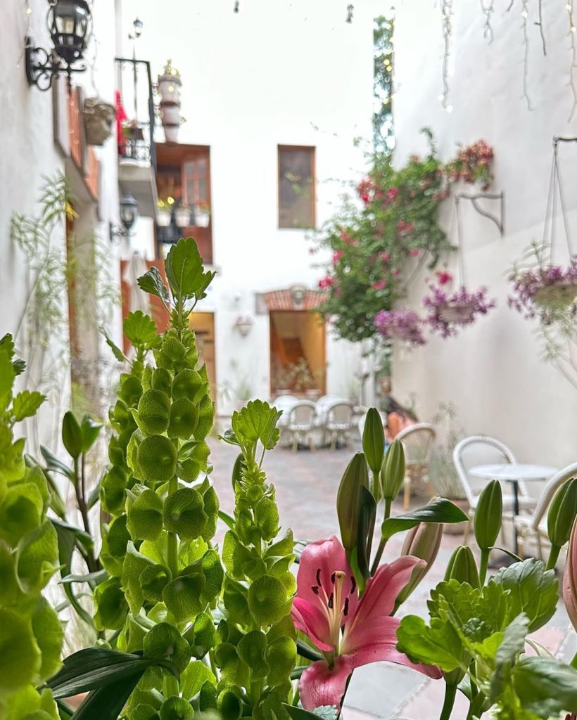 Este cafecito en Coyoacán se convertirá en tu lugar favorito para ‘echar chisme’ con amigas (está abajo de una librería feminista)