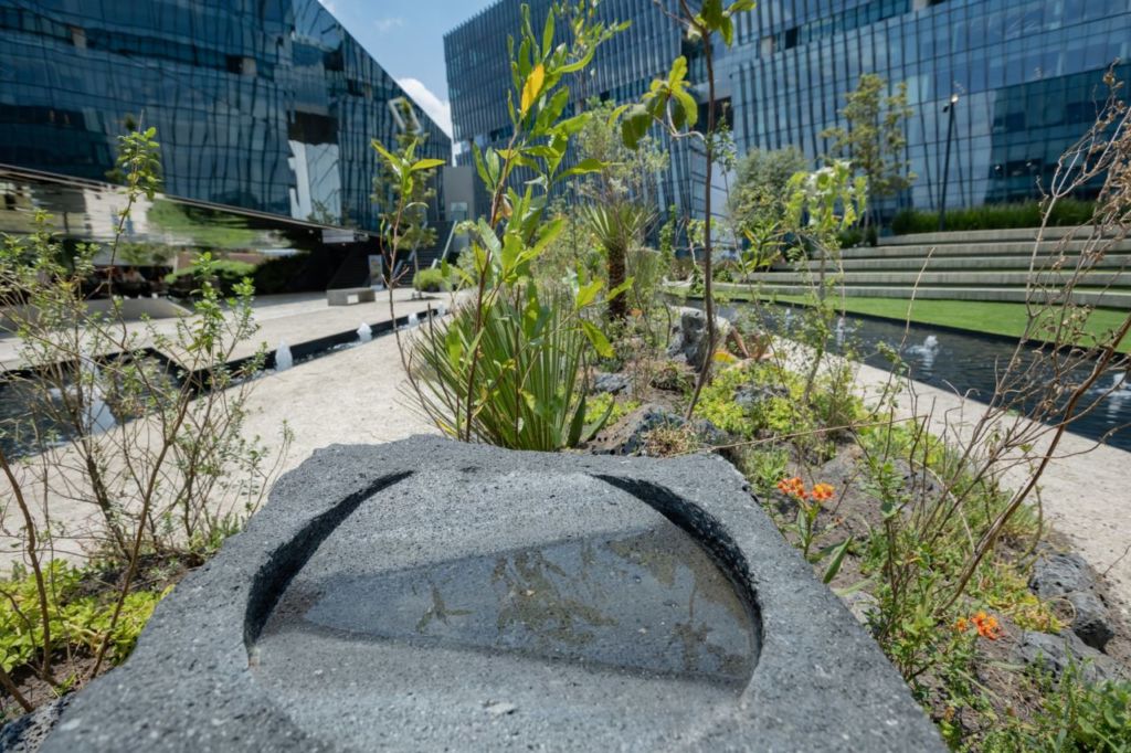 Esta nueva expo en la CDMX es el paraíso para amantes de las plantas