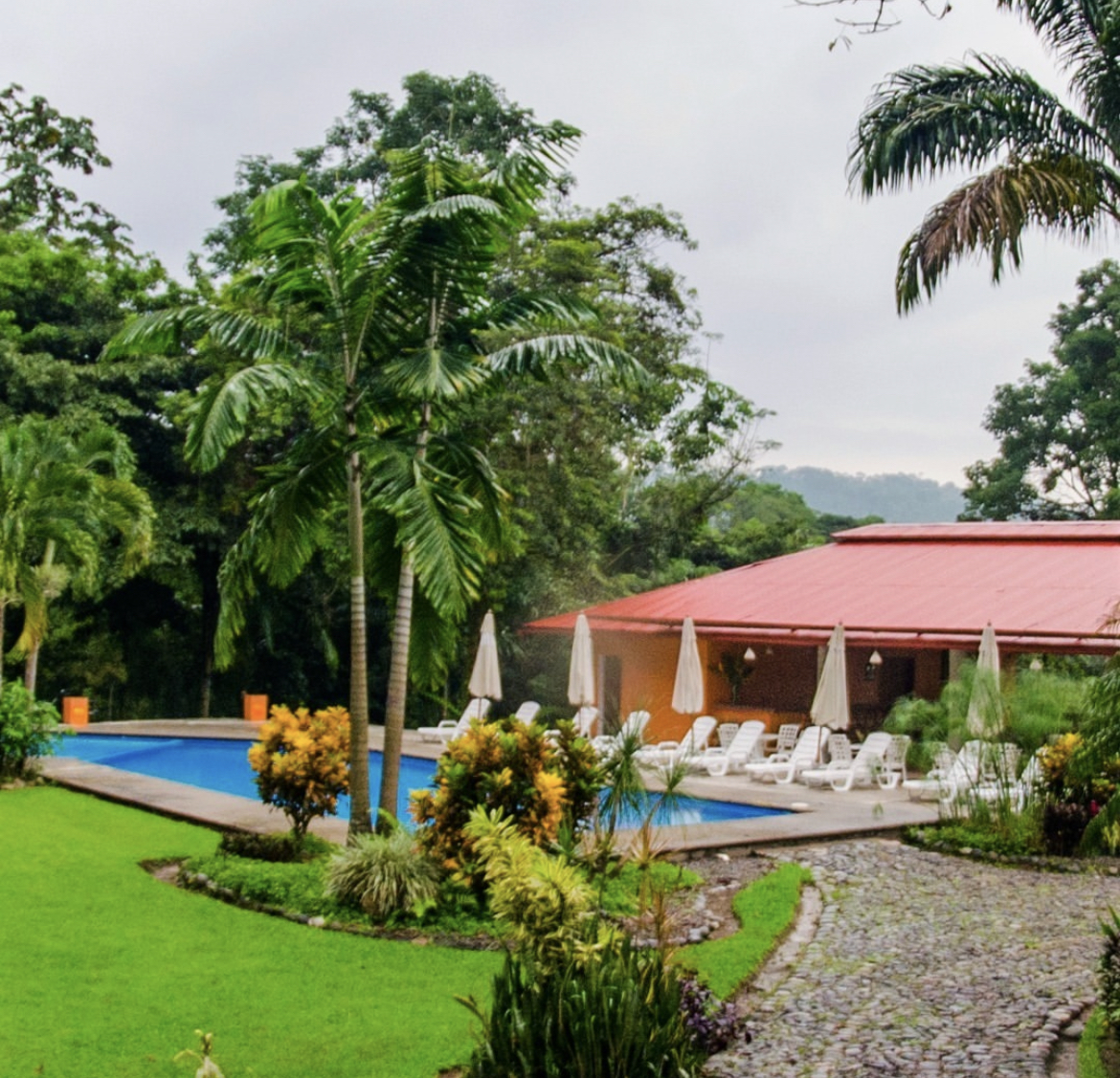 Argovia: la finca de café de más de 130 años en la selva de Soconusco en Chiapas Argovia: la finca de café de más de 130 años en la selva de Soconusco en Chiapas