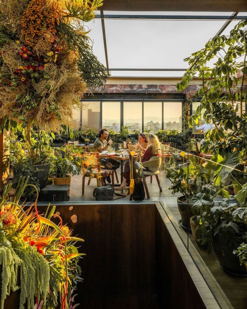 Altanera: el nuevo rooftop de cocina mexicana con toques de mar (y una vista espectacular a la CDMX)