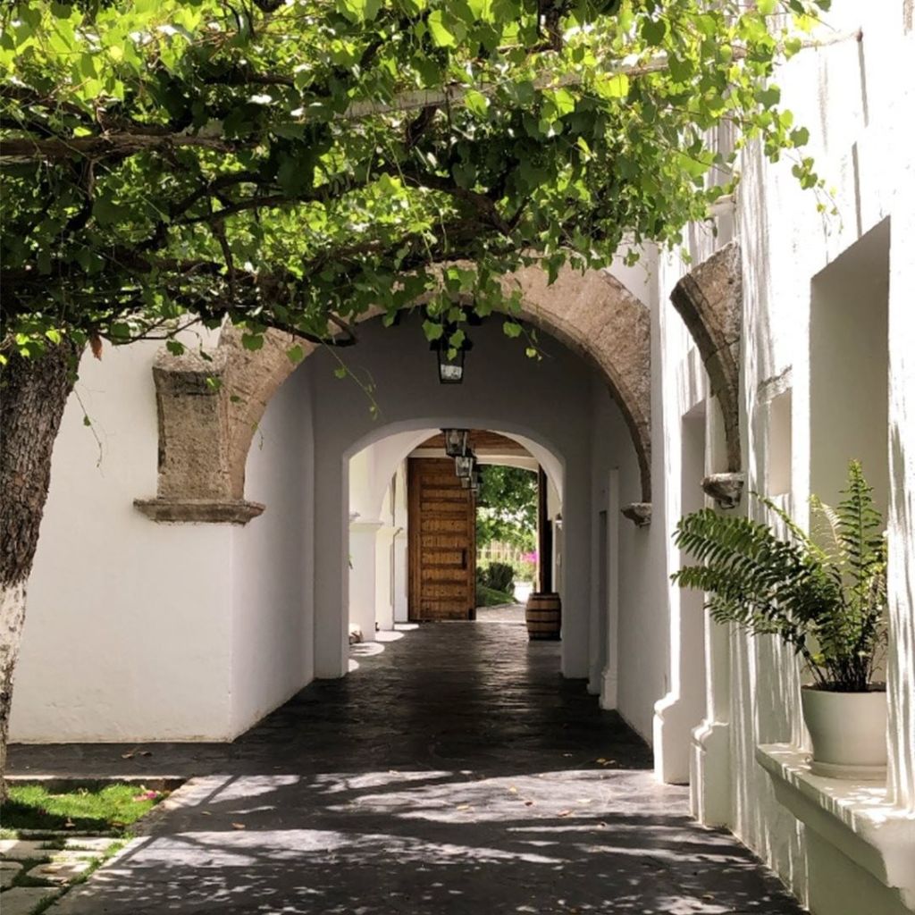 Visita Hacienda San Lorenzo, la vinícola más antigua del continente, imperdible si amas el vino