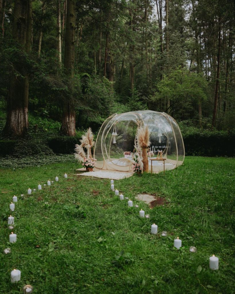 ¿Bubble picnic en medio del bosque? Aquí te decimos dónde 