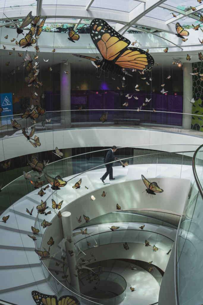 Descubre el museo interactivo gratis de la CDMX dedicado a la biodiversidad de México
