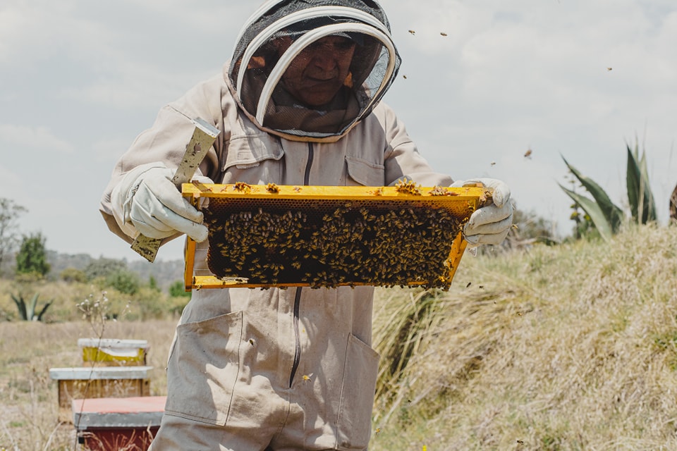 Glamping en el altiplano con visita a uno de los apiarios más bonitos de Tlaxcala