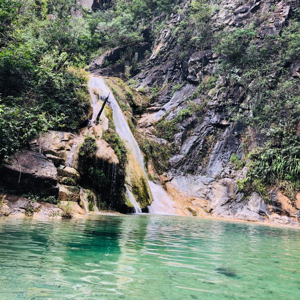 cascada la cebolla monterrey