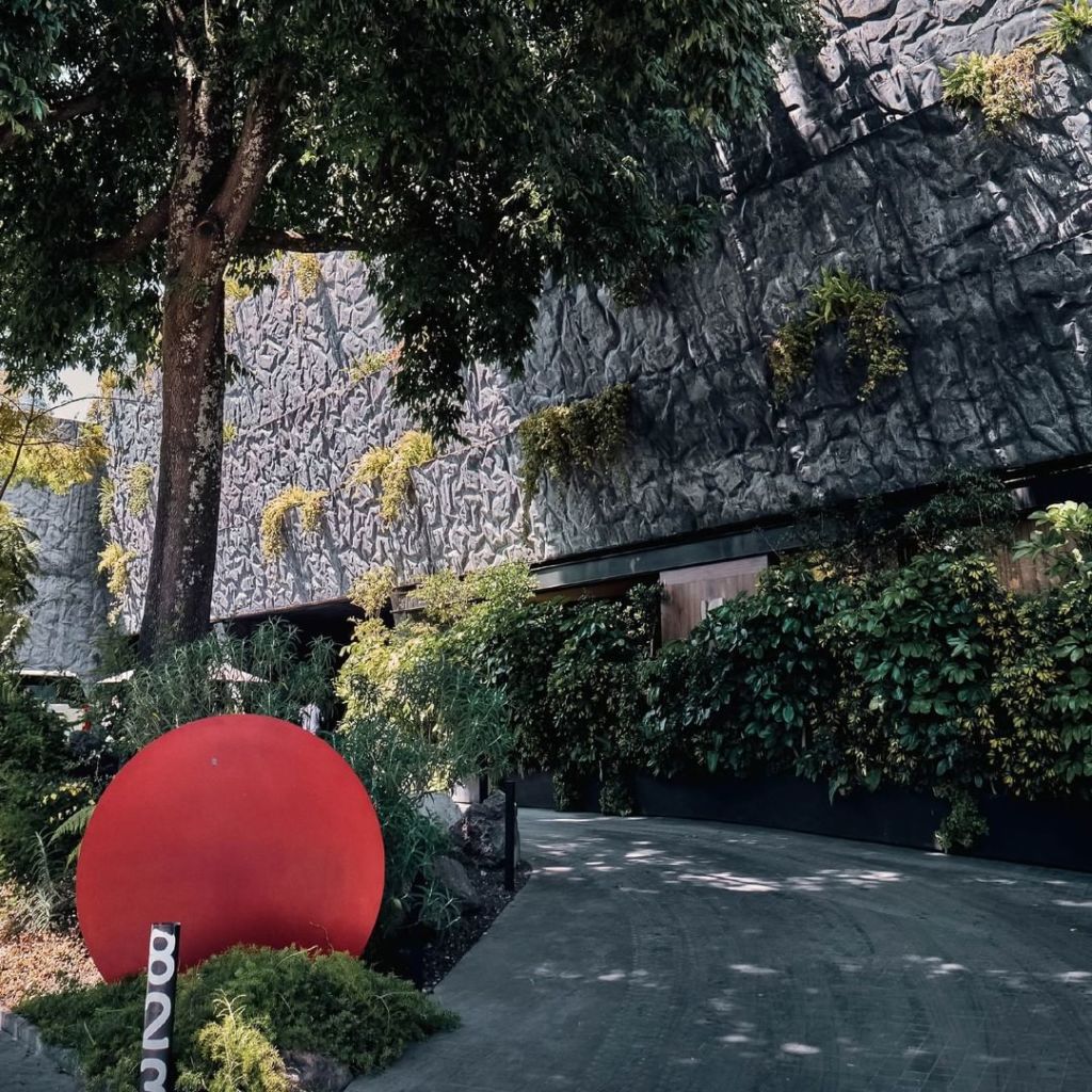 centro comercial cráter pedregal