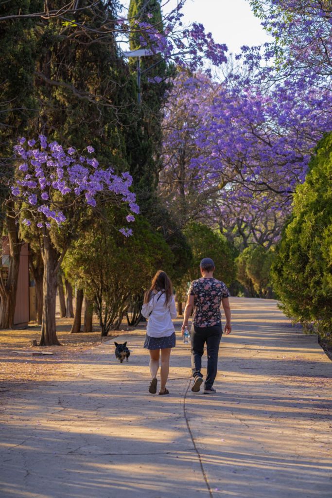 6 planes románticos en la CDMX para cuando llevan muchos años y quieren sentir que es la primera vez