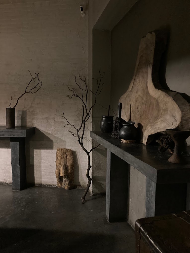 interior minimalista y oscuro de Canopia, un bar de vinos en la condesa