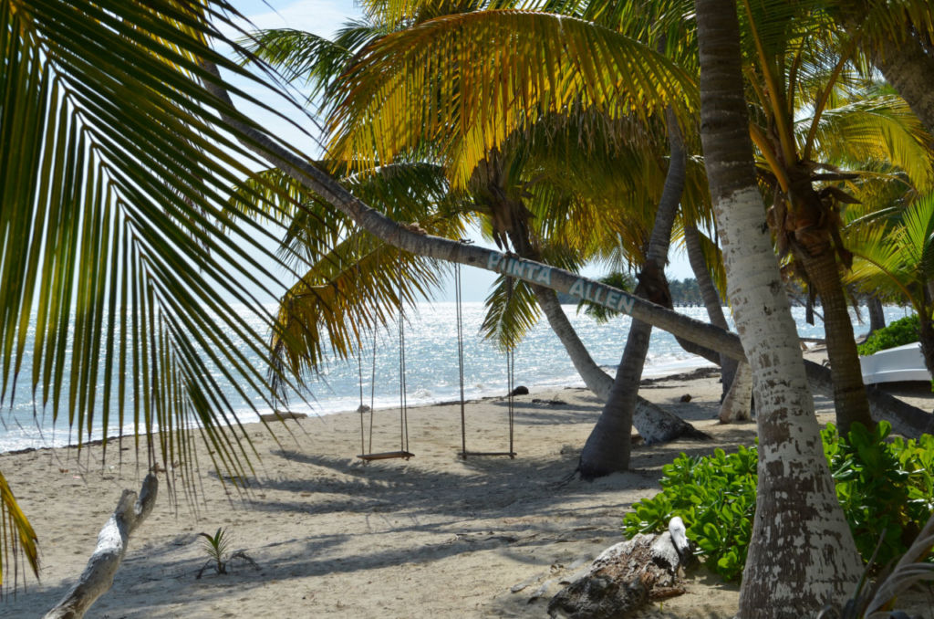 Punta Allen: la playa de aguas cristalinas sin olas que nadie conoce todavía