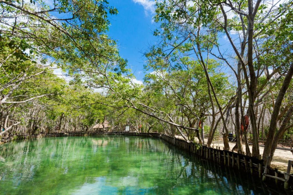 cenotes en Yucatán