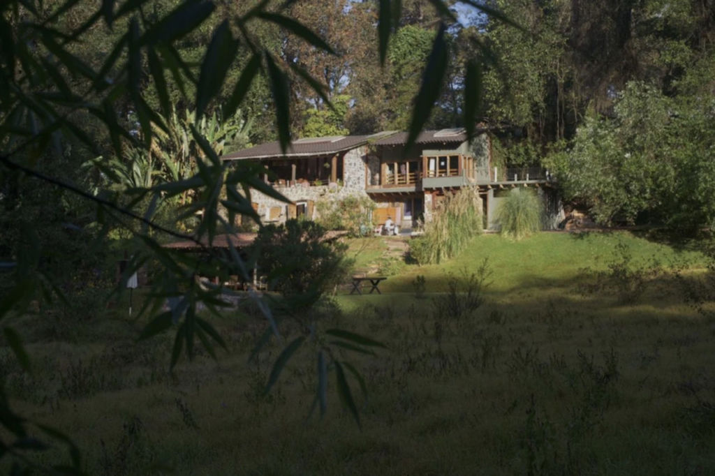 actividades wellness