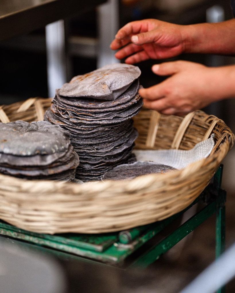 tortillerías gourmet