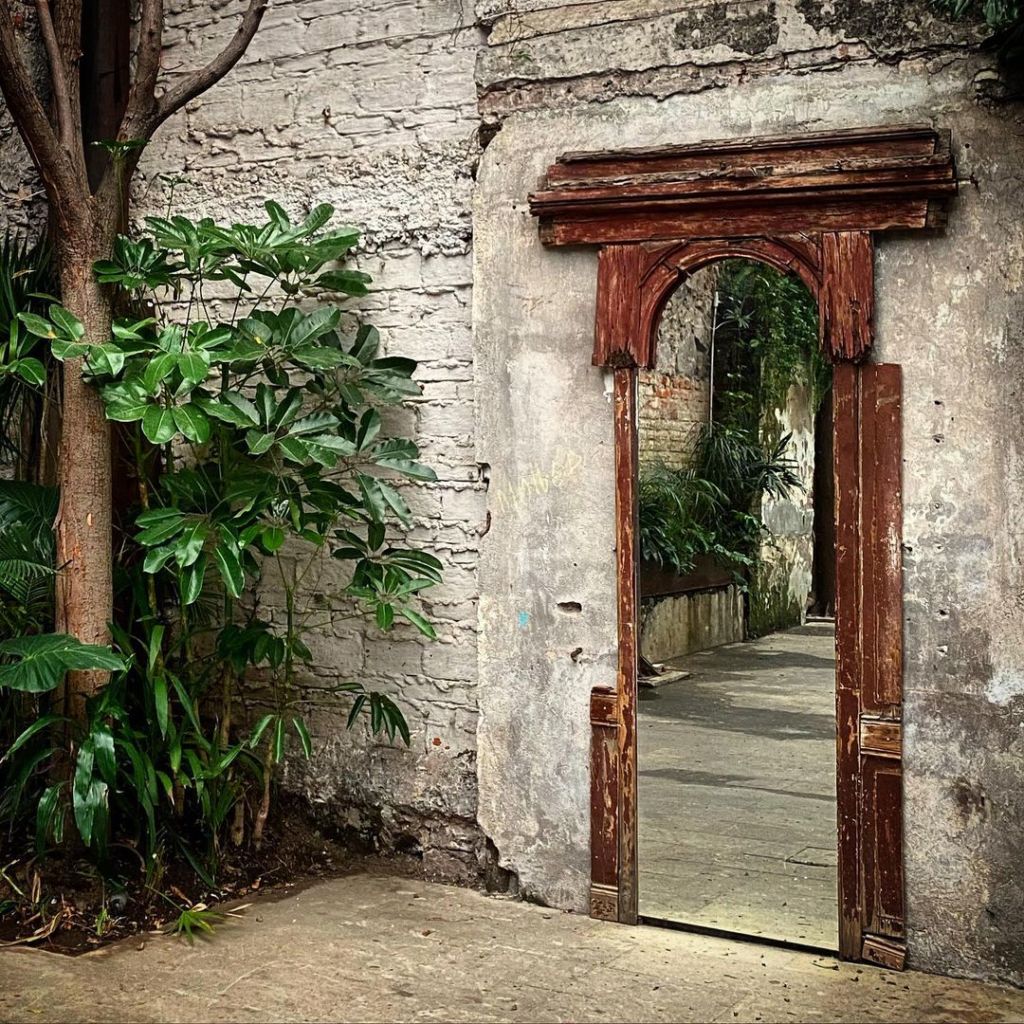 proyecto público Prim