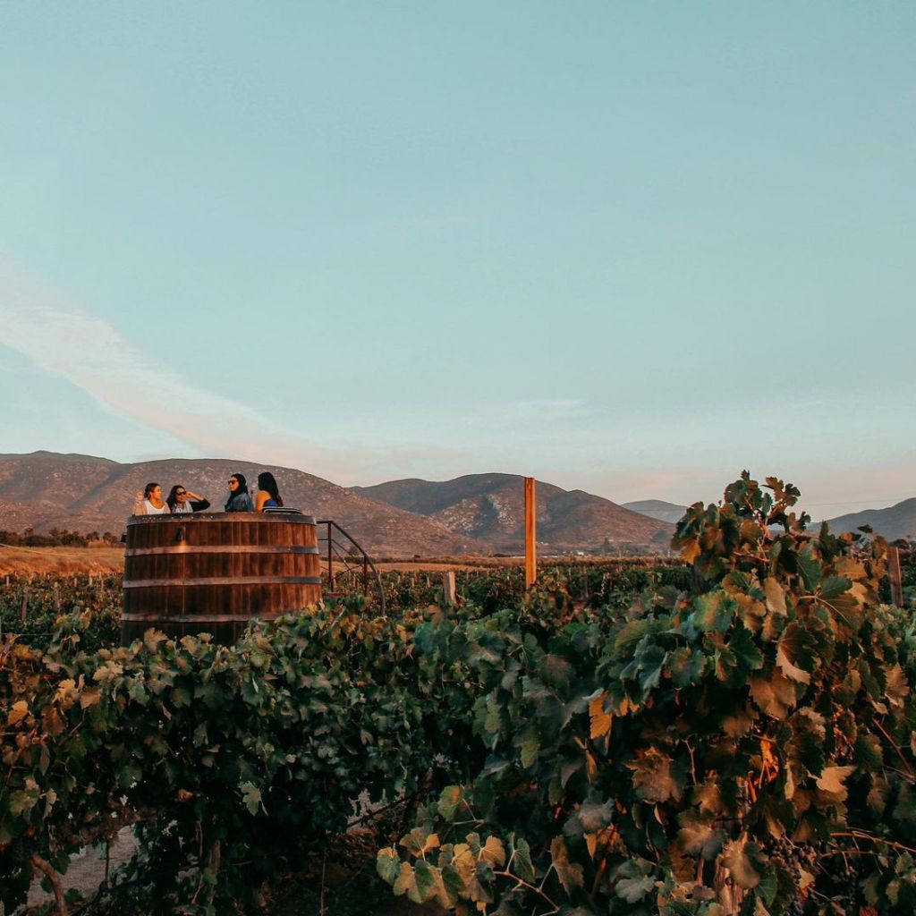 restaurantes más bonitos de méxico