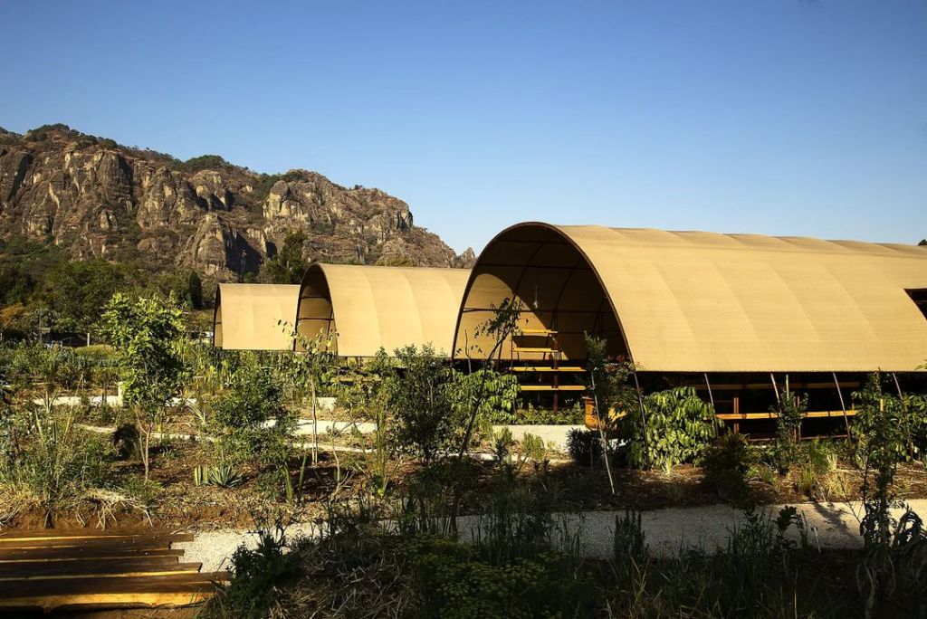 restaurantes en tepoztlan