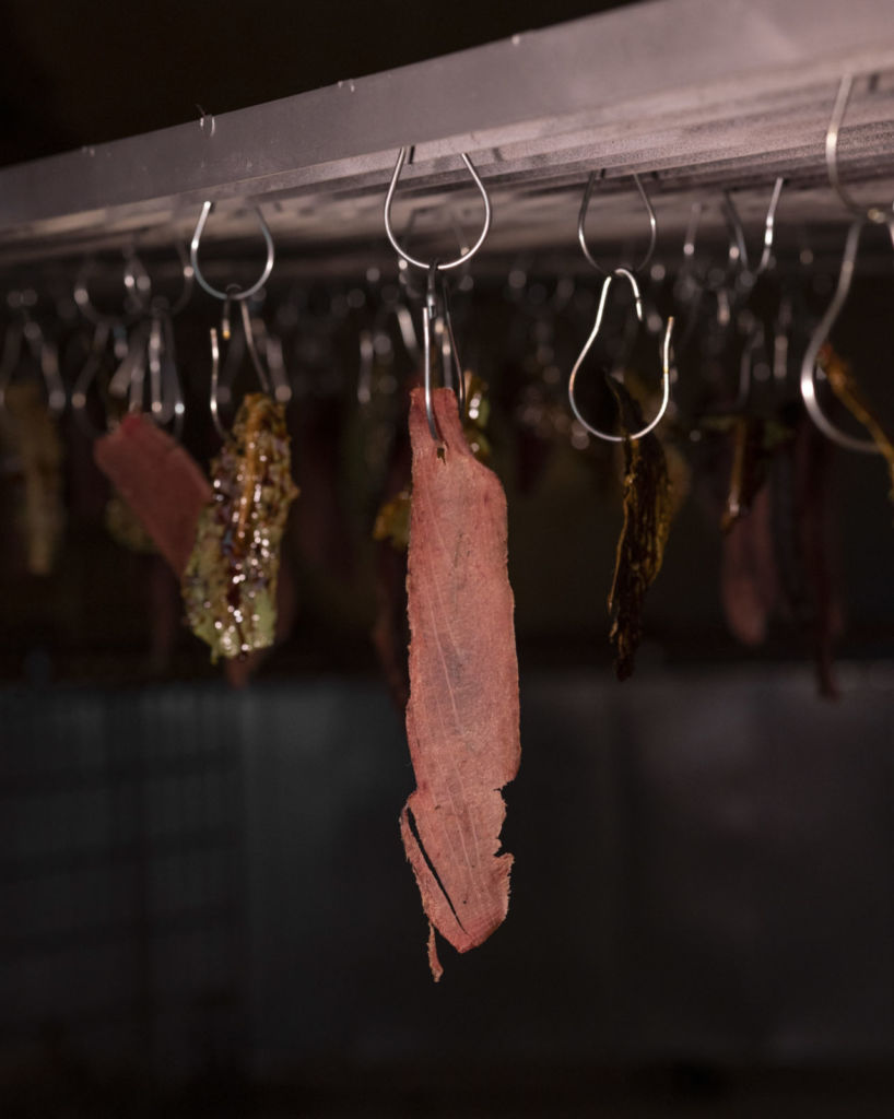 arte y gastronomía CDMX