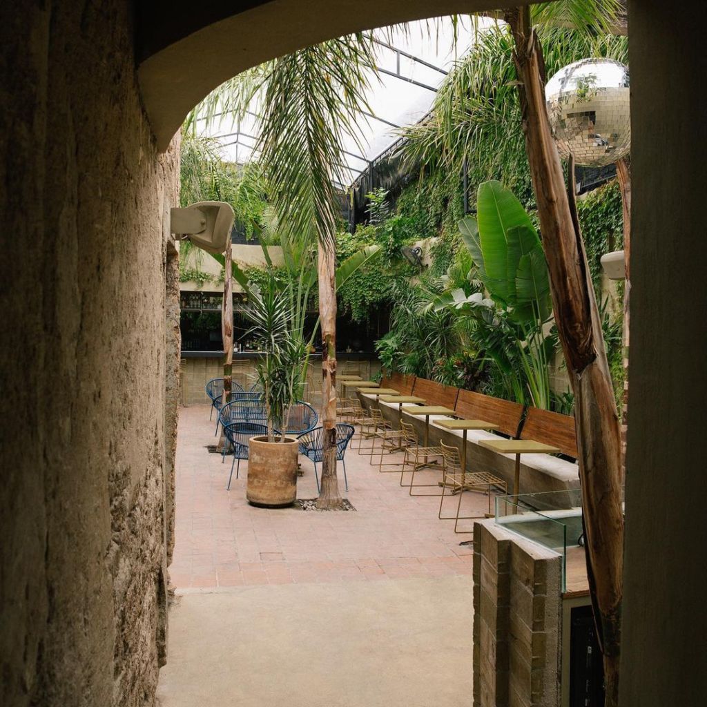 donde ir en guadalajara