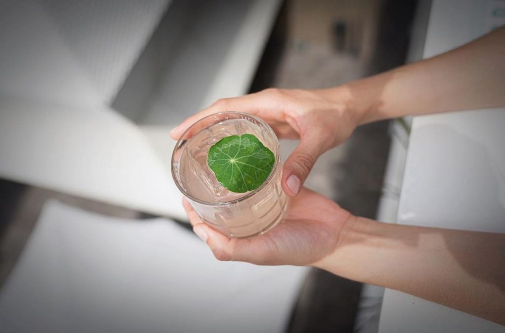 bares bonitos de méxico