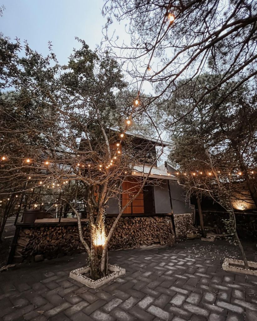 Nadie sabe que existe una cabaña miniatura oculta entre los pinos del Ajusco (a 30 minutos de la CDMX)