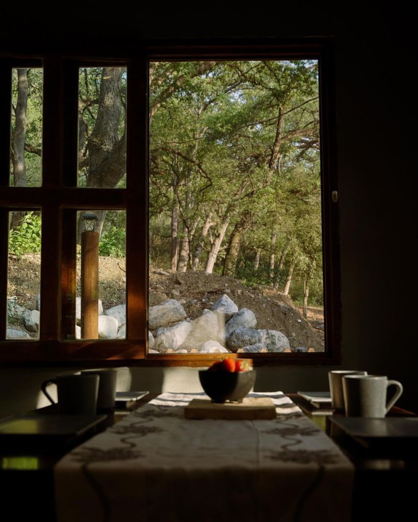 cabañas en el bosque cerca de monterrey