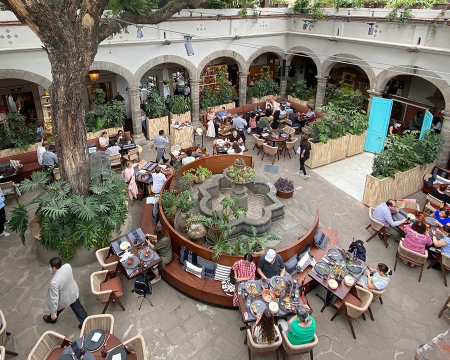 colonias bonitas para caminar en cdmx