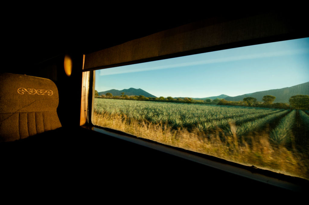 5 experiencias para celebrar el mes patrio con tequila (en Tequila)