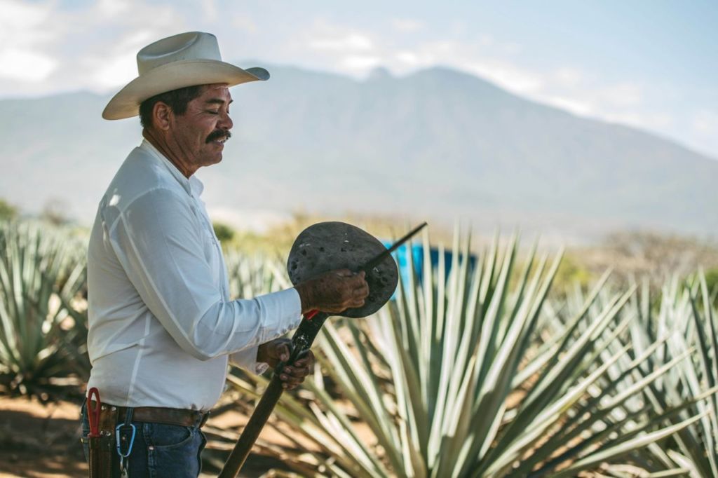 tequila jalisco