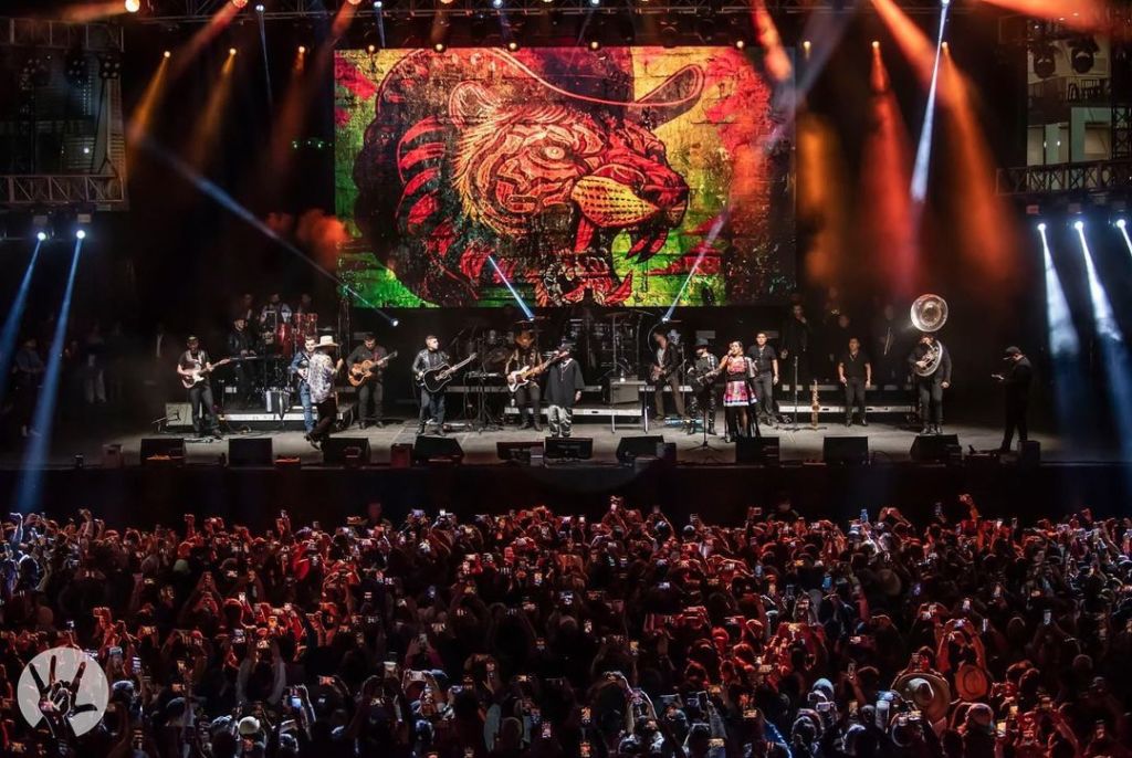 vive latino