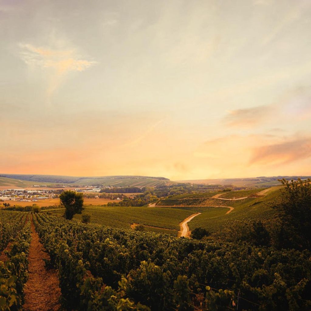 ginebra hecha en Francia