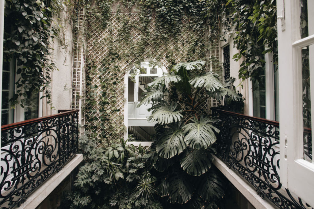 Dónde hospedarte en la CDMX