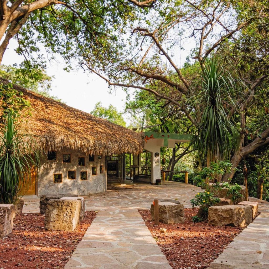 aguas termales cerca cdmx