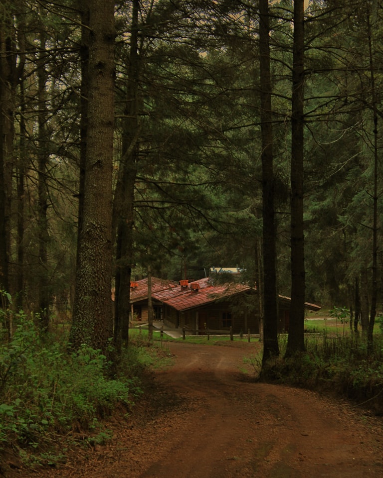 hospedaje para ver luciérnagas 