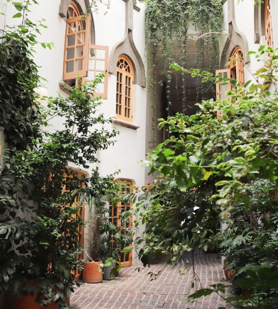 date romántico cdmx