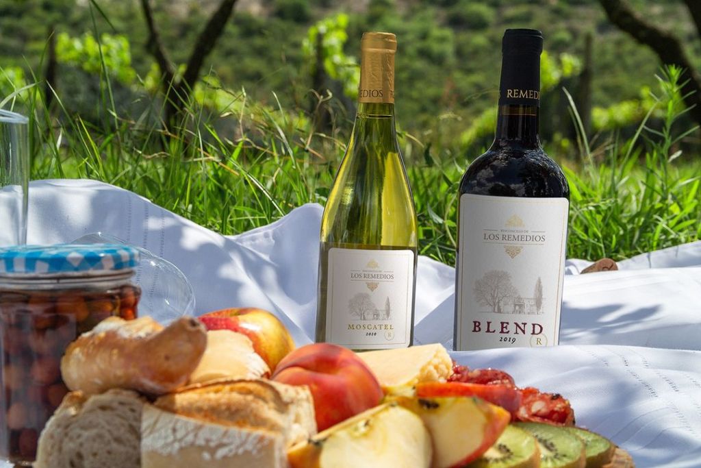 producción de vino en San Miguel de Allende