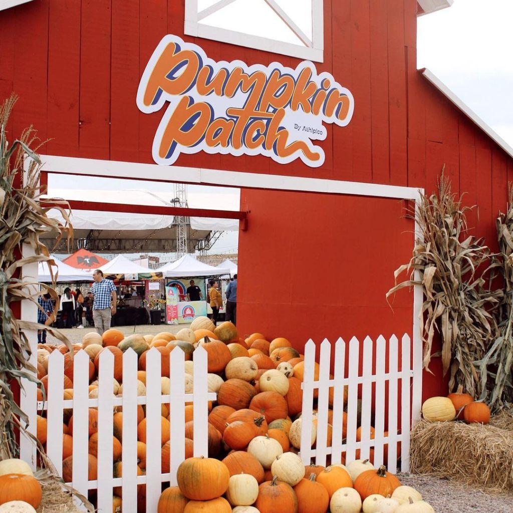 festival pumpkin dash monterrey