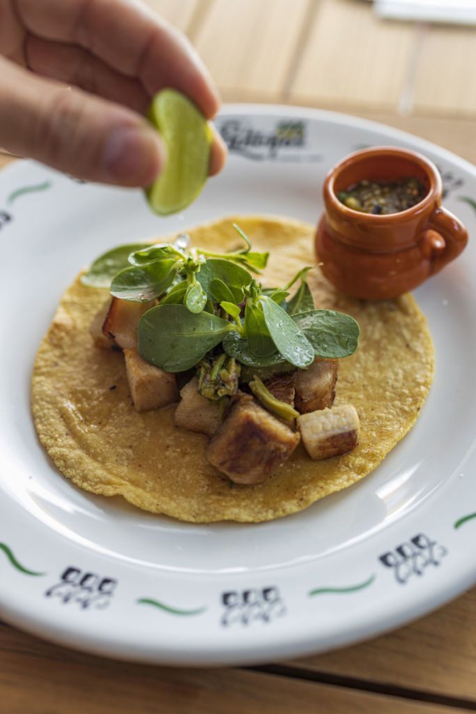 taco Enrique Olvera aniversario Los Panchos 