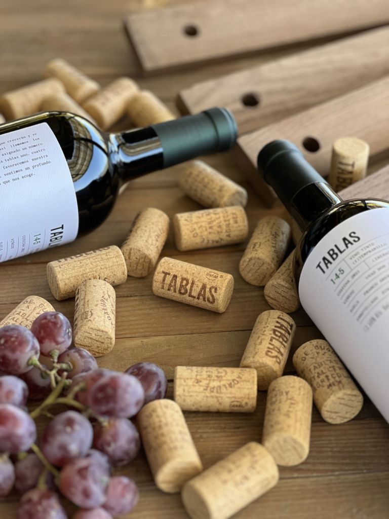 Este vino mexicano está elaborado con prácticas sustentables (cada trago es un apapacho para la tierra y para el paladar)