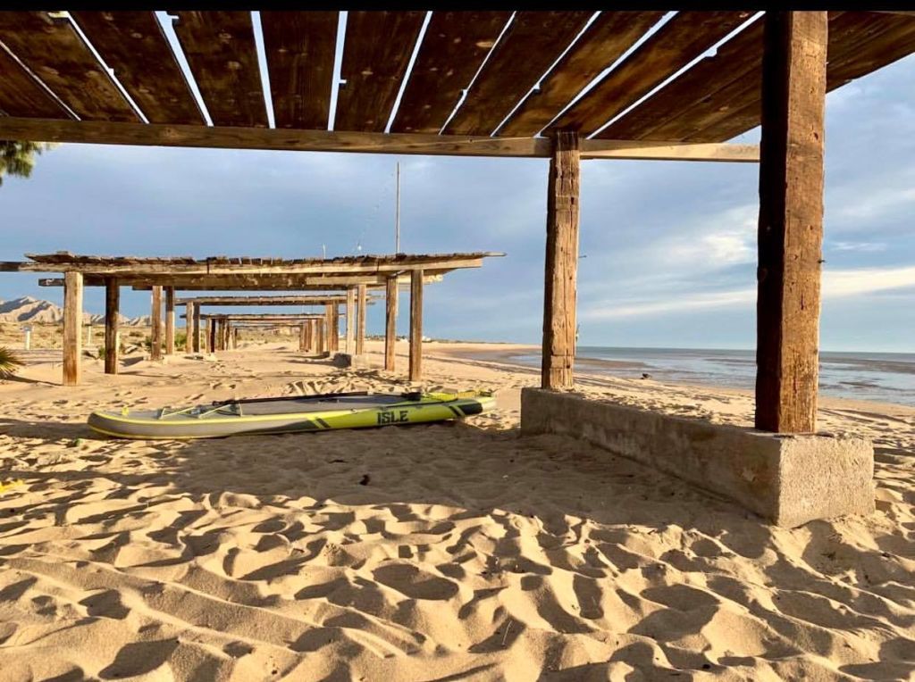 Punta Estrella: una playa (casi) vacía de México para acampar rodeado de suculentas enormes