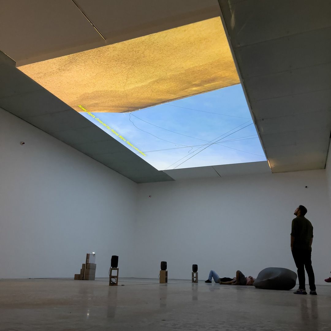 5 exposiciones increíbles para ver el fin de semana en CDMX (son gratis) 