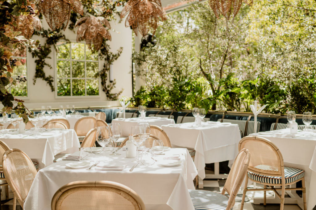bagatelle cdmx