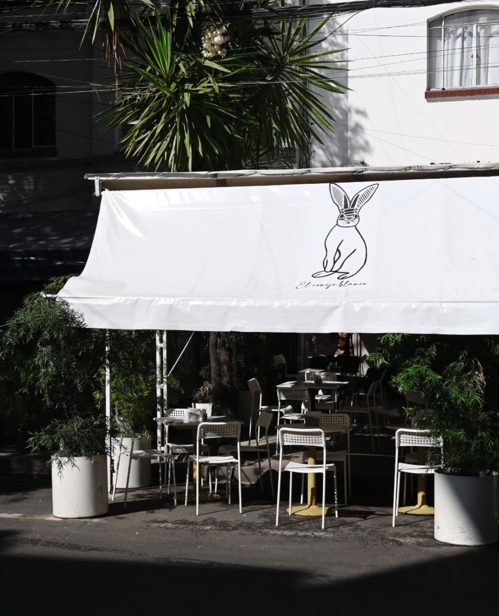 cafeterías en Polanco, conejo blanco café